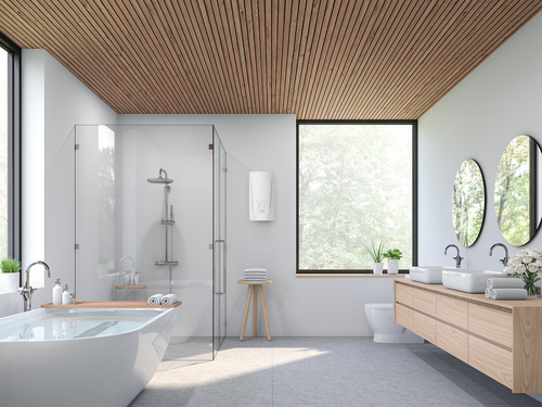 Проточный водонагреватель CLAGE DCX Next L E-comfort